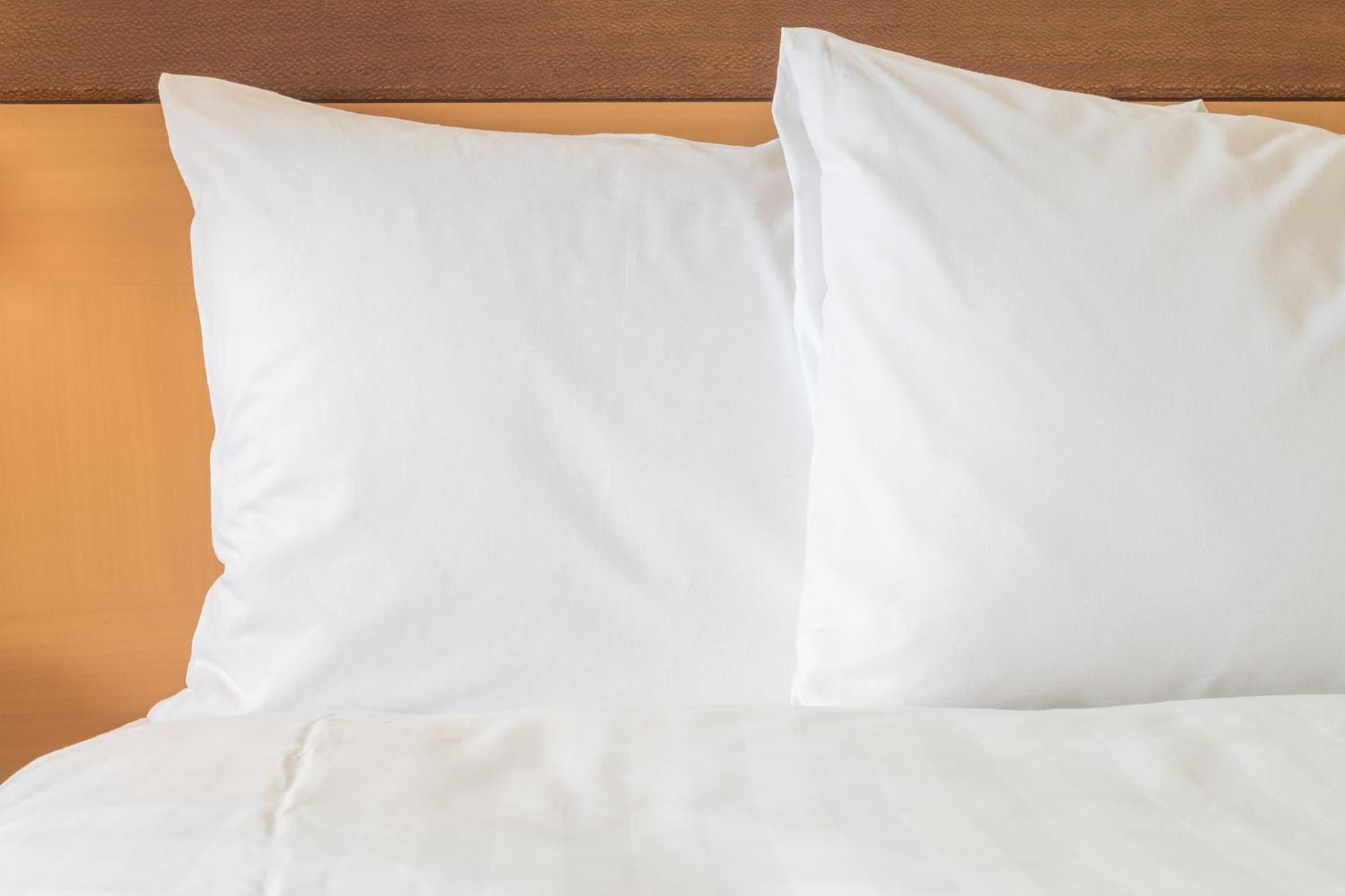 Crowne Plaza San Antonio Airport By Ihg Hotell Exteriör bild